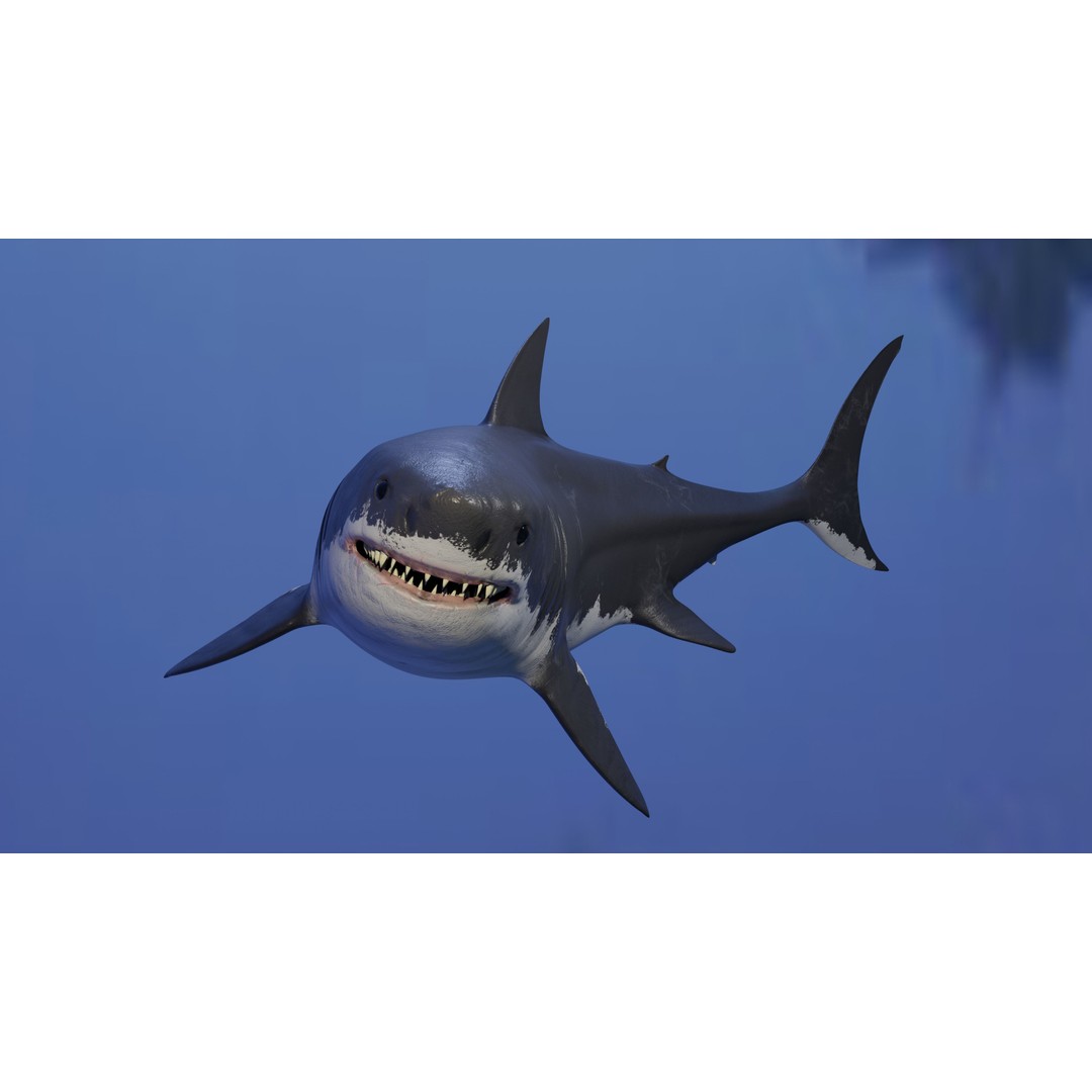 Great White Shark 3D Model – Low Poly Animated Rigged Asset, FBX - View 5