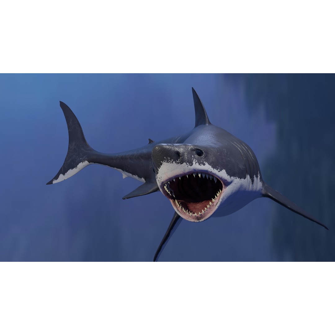 Great White Shark 3D Model – Low Poly Animated Rigged Asset, FBX - View 7