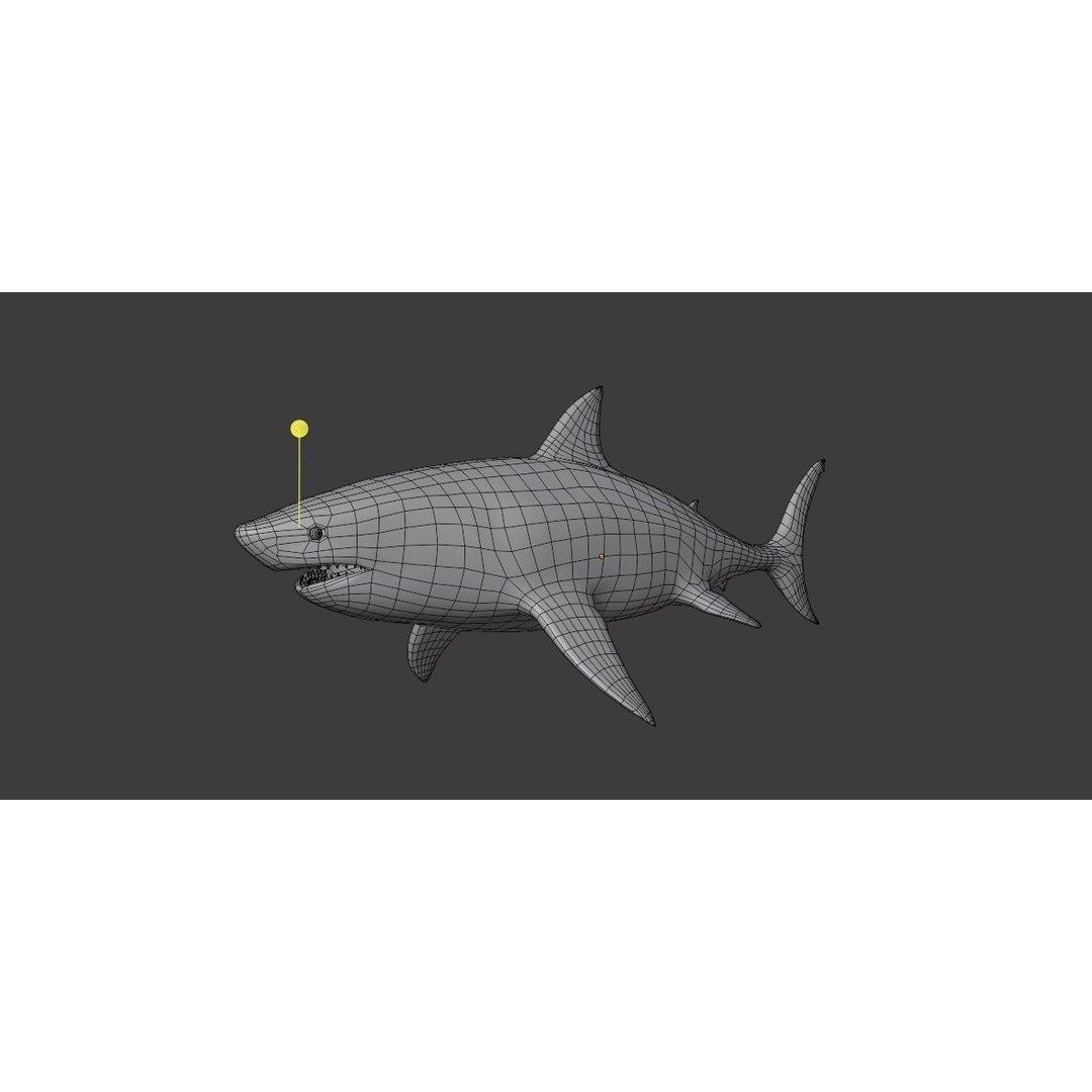 Great White Shark 3D Model – Low Poly Animated Rigged Asset, FBX - View 9
