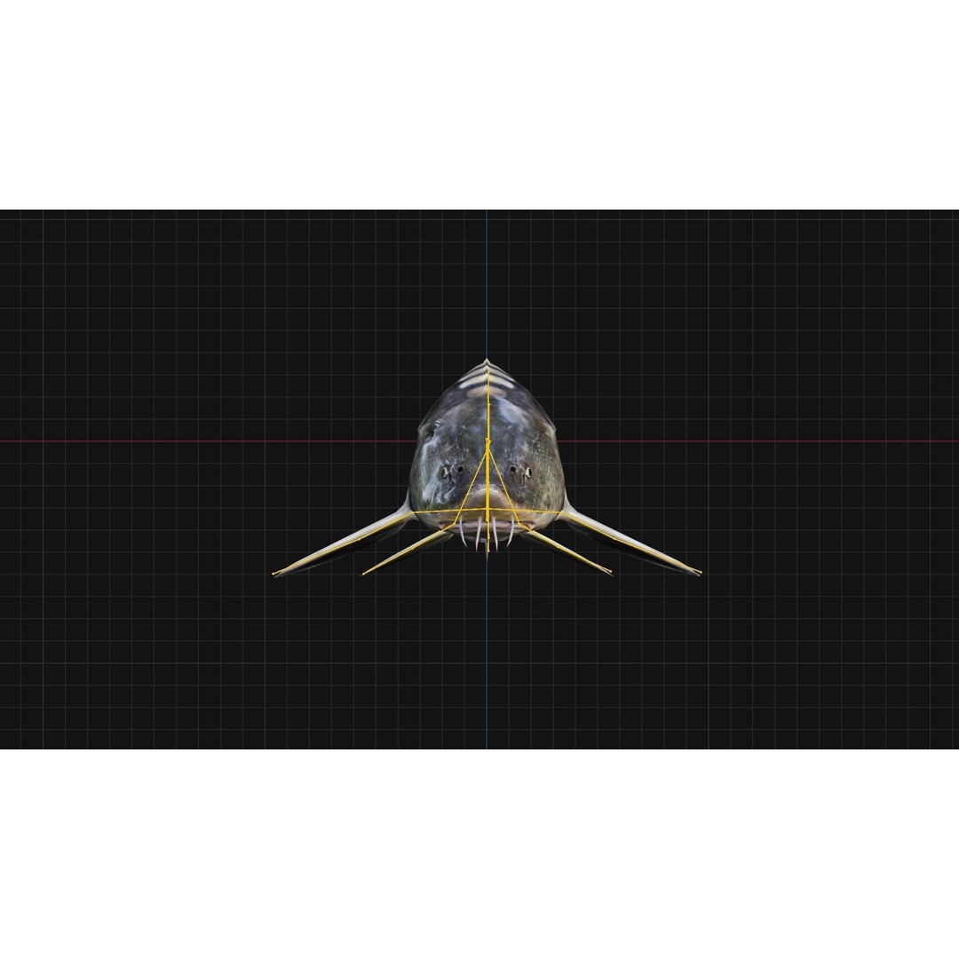 Sturgeon Freshwater Fish 3D Model – Low Poly Rigged Asset, FBX - View 11