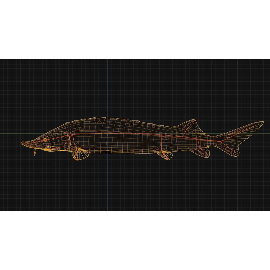 Sturgeon Freshwater Fish 3D Model – Low Poly Rigged Asset, FBX - View 12