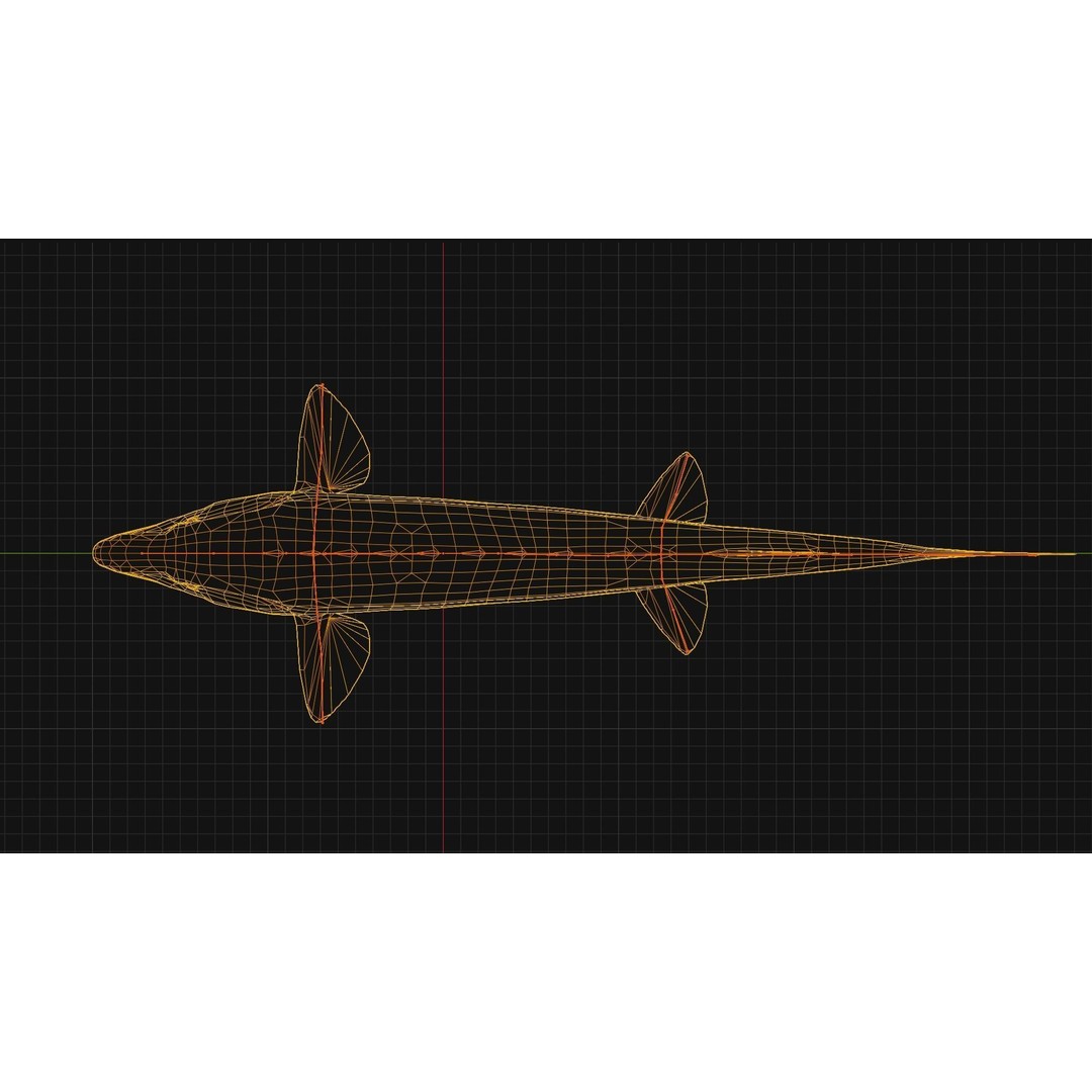 Sturgeon Freshwater Fish 3D Model – Low Poly Rigged Asset, FBX - View 13