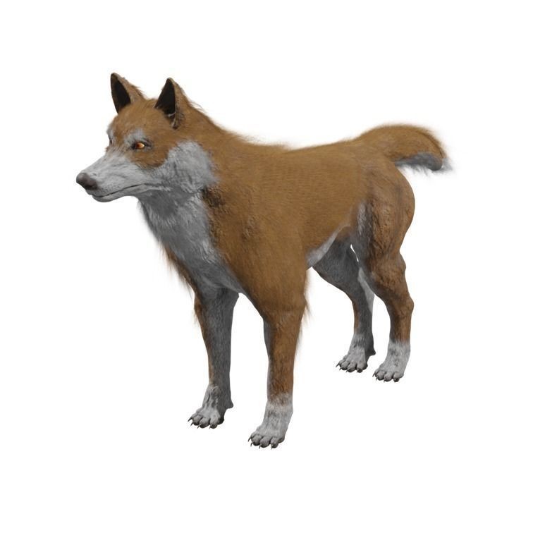 Wolf 3D Model – Rigged Low-Poly Animated Game Asset, FBX, OBJ - View 10
