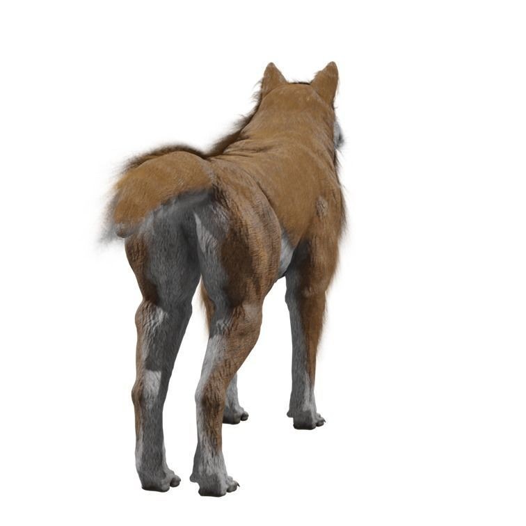 Wolf 3D Model – Rigged Low-Poly Animated Game Asset, FBX, OBJ - View 11