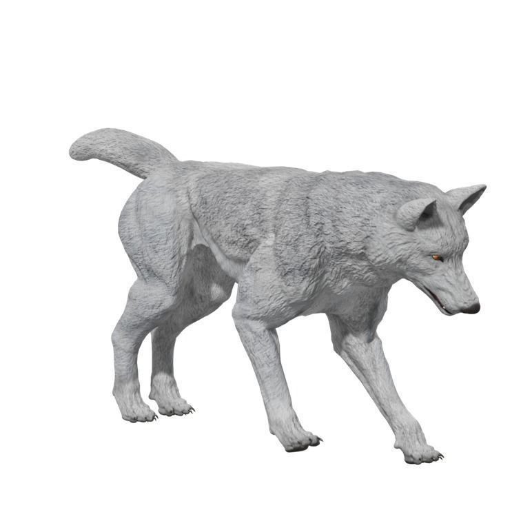 Wolf 3D Model – Rigged Low-Poly Animated Game Asset, FBX, OBJ - View 14