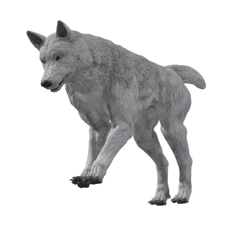 Wolf 3D Model – Rigged Low-Poly Animated Game Asset, FBX, OBJ - View 15