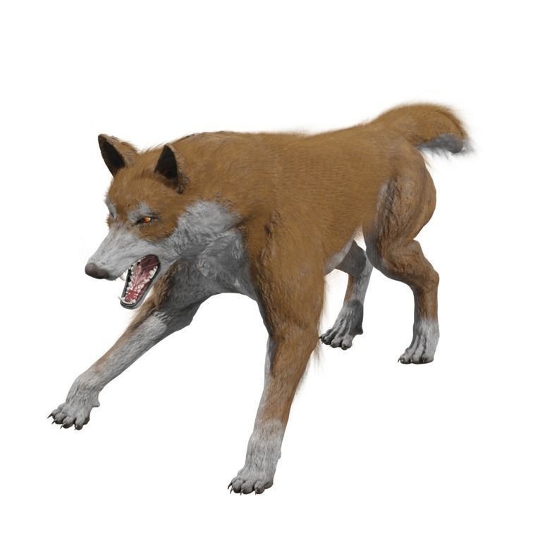 Wolf 3D Model – Rigged Low-Poly Animated Game Asset, FBX, OBJ - View 18