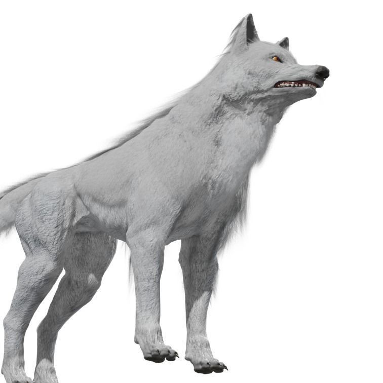 Wolf 3D Model – Rigged Low-Poly Animated Game Asset, FBX, OBJ - View 19