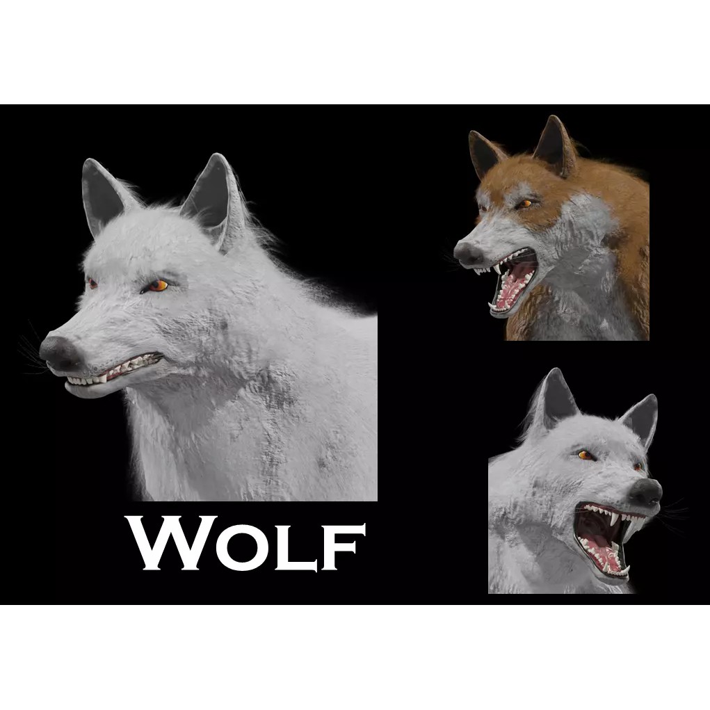 Wolf 3D Model – Rigged Low-Poly Animated Game Asset, FBX, OBJ - View 2