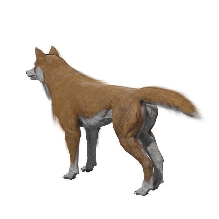 Wolf 3D Model – Rigged Low-Poly Animated Game Asset, FBX, OBJ - View 20