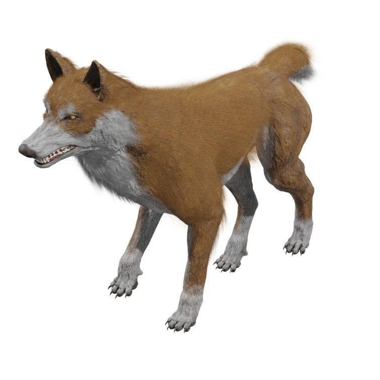 Wolf 3D Model – Rigged Low-Poly Animated Game Asset, FBX, OBJ - View 23