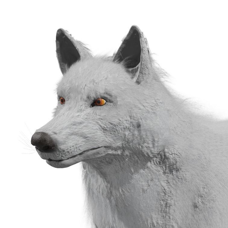 Wolf 3D Model – Rigged Low-Poly Animated Game Asset, FBX, OBJ - View 24
