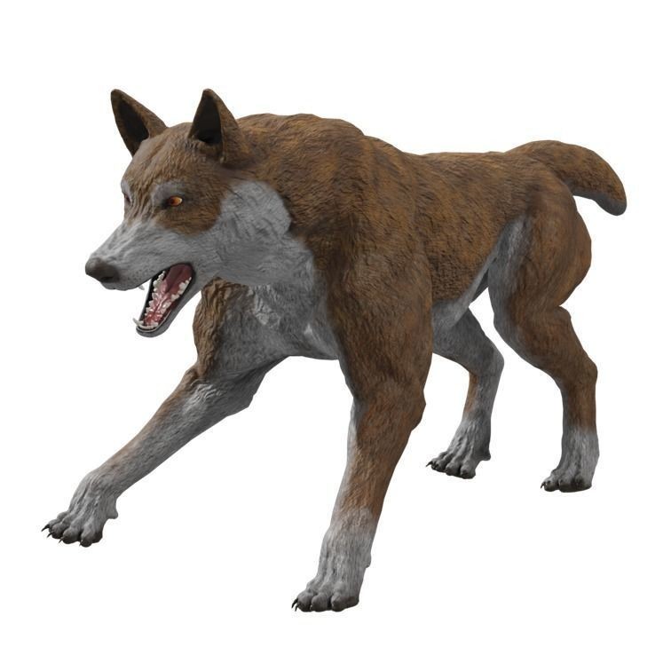 Wolf 3D Model – Rigged Low-Poly Animated Game Asset, FBX, OBJ - View 25