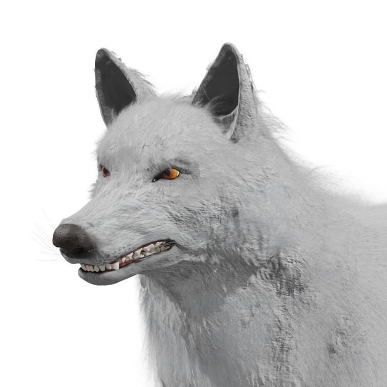 Wolf 3D Model – Rigged Low-Poly Animated Game Asset, FBX, OBJ - View 28