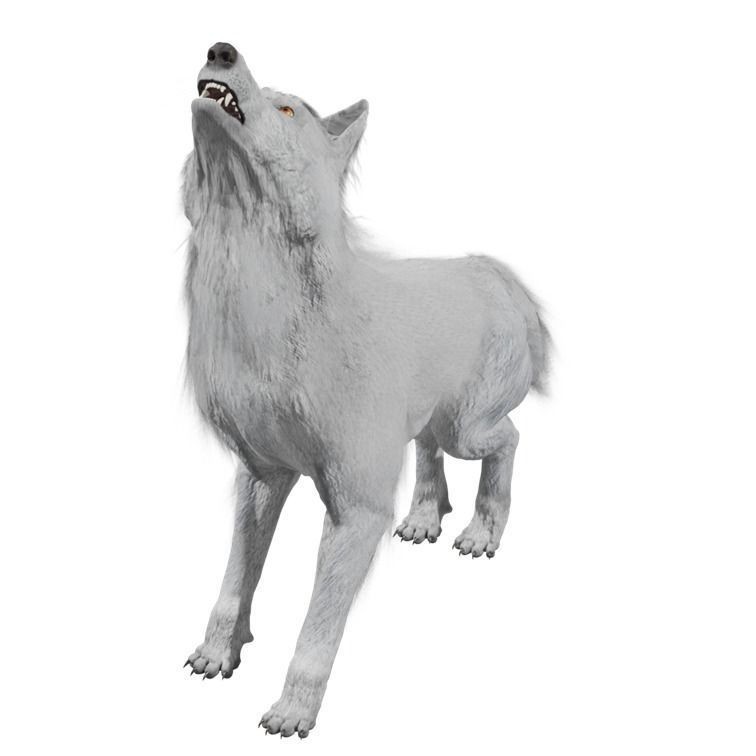Wolf 3D Model – Rigged Low-Poly Animated Game Asset, FBX, OBJ - View 31