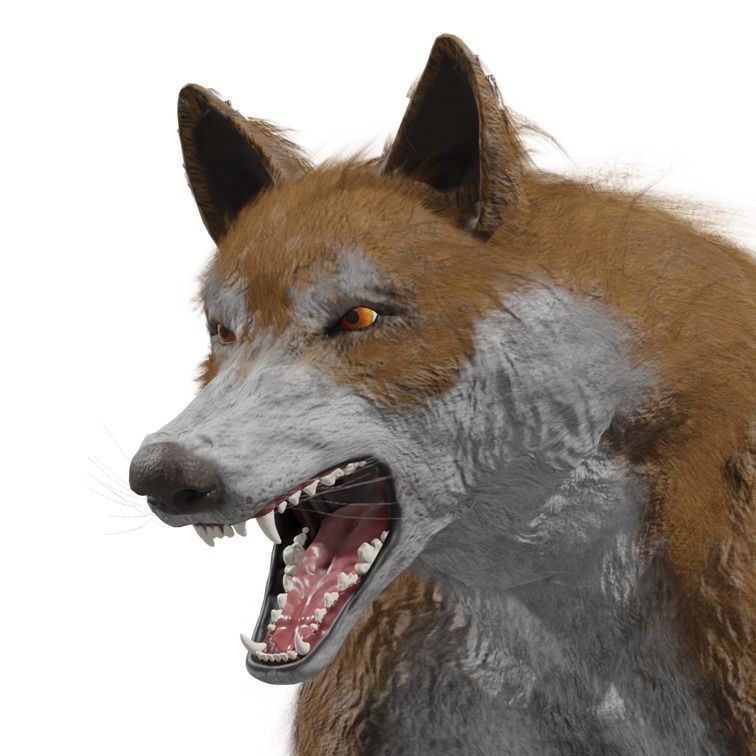 Wolf 3D Model – Rigged Low-Poly Animated Game Asset, FBX, OBJ - View 36