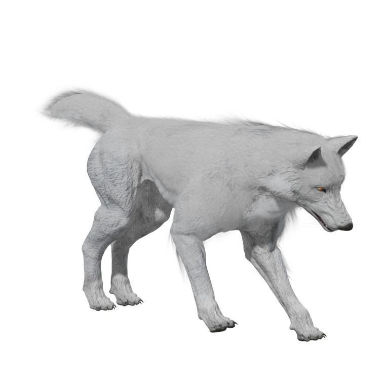 Wolf 3D Model – Rigged Low-Poly Animated Game Asset, FBX, OBJ - View 4