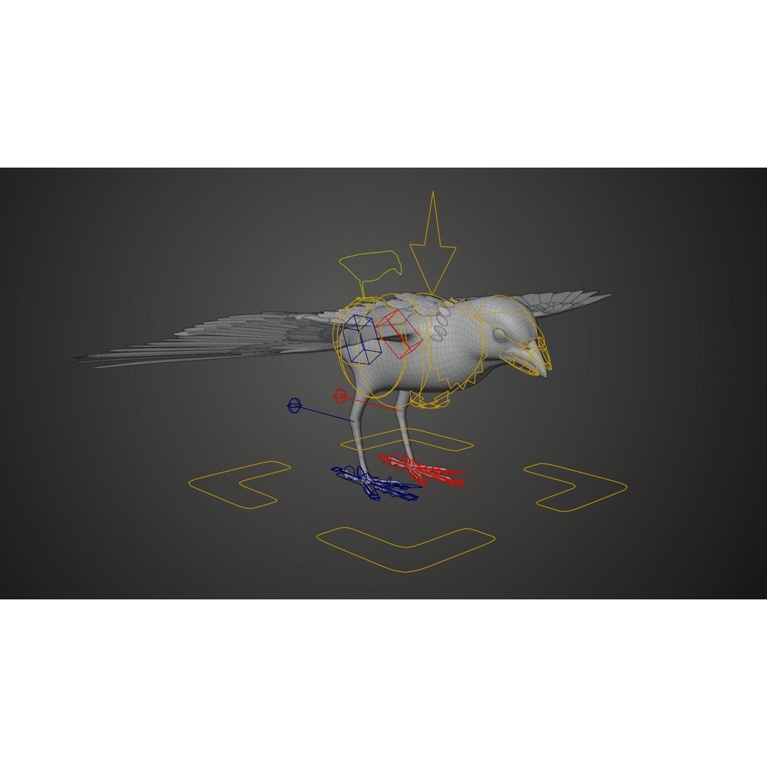 Sparrow 3D Model – Realistic Animated Bird with Rigging and PBR Textures - View 13