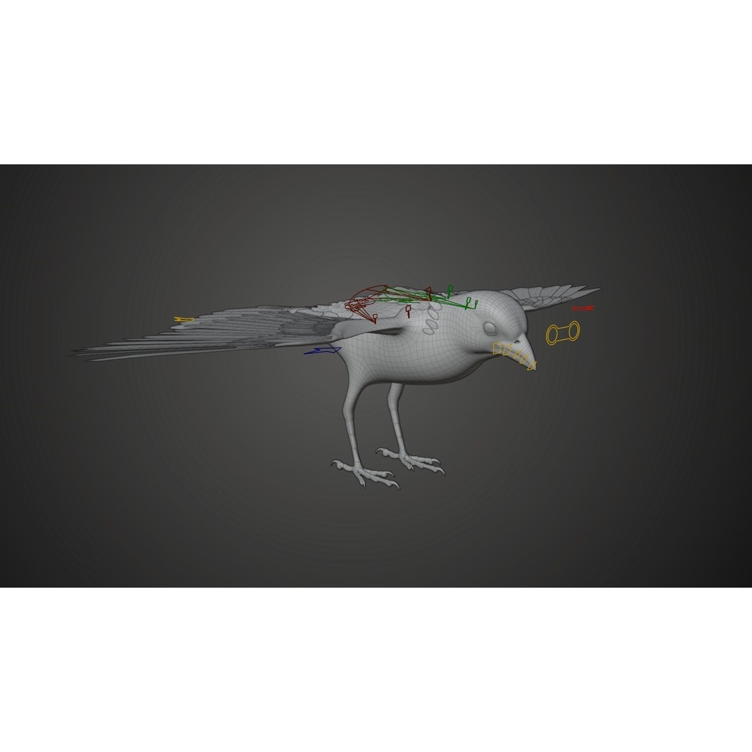 Sparrow 3D Model – Realistic Animated Bird with Rigging and PBR Textures - View 15