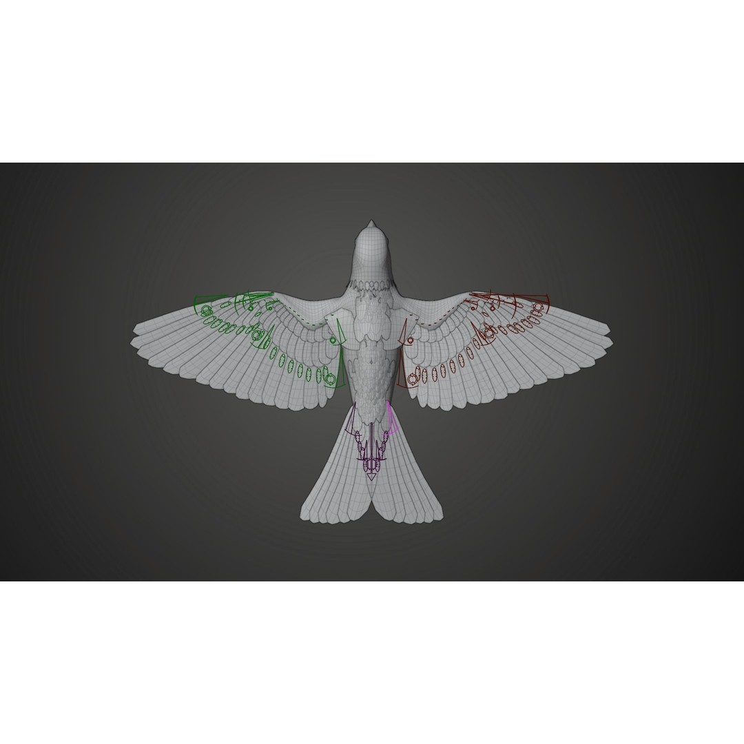 Sparrow 3D Model – Realistic Animated Bird with Rigging and PBR Textures - View 17
