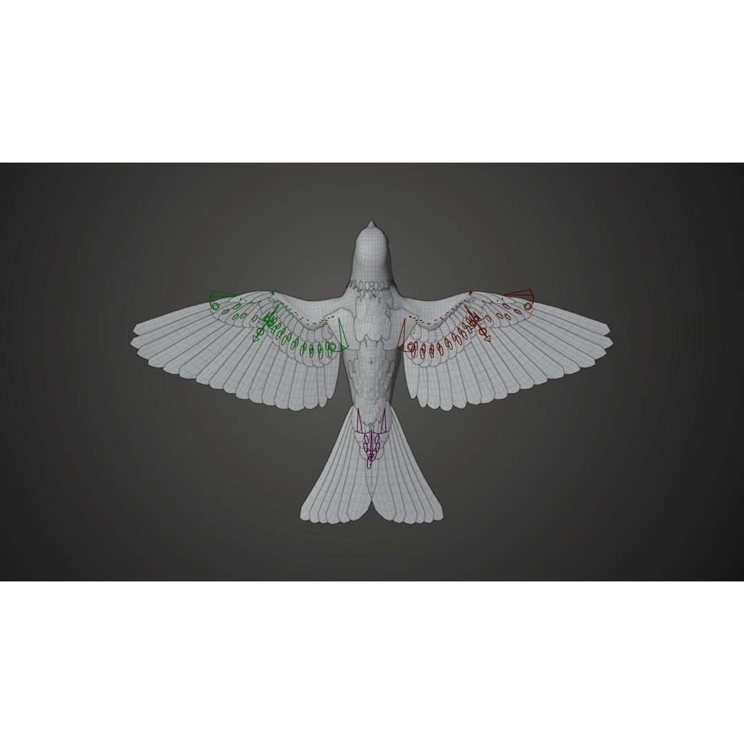 Sparrow 3D Model – Realistic Animated Bird with Rigging and PBR Textures - View 18