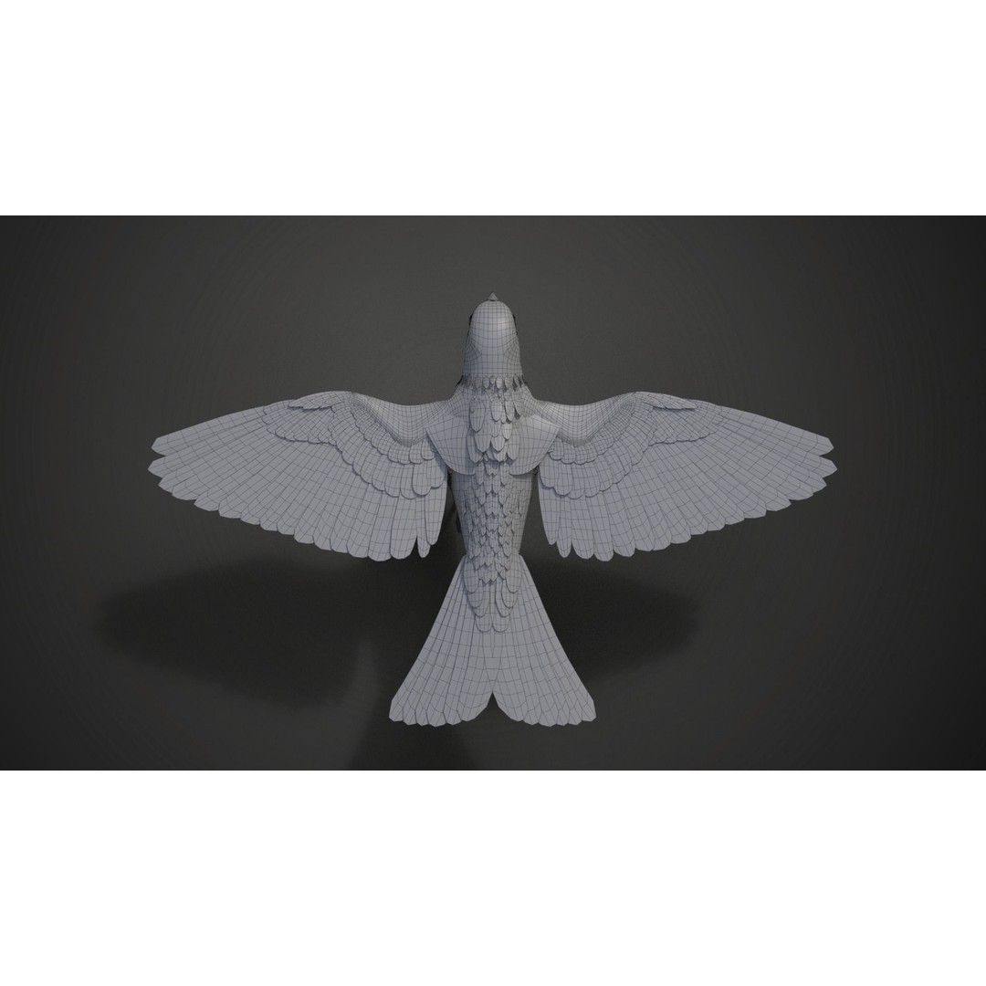 Sparrow 3D Model – Realistic Animated Bird with Rigging and PBR Textures - View 21