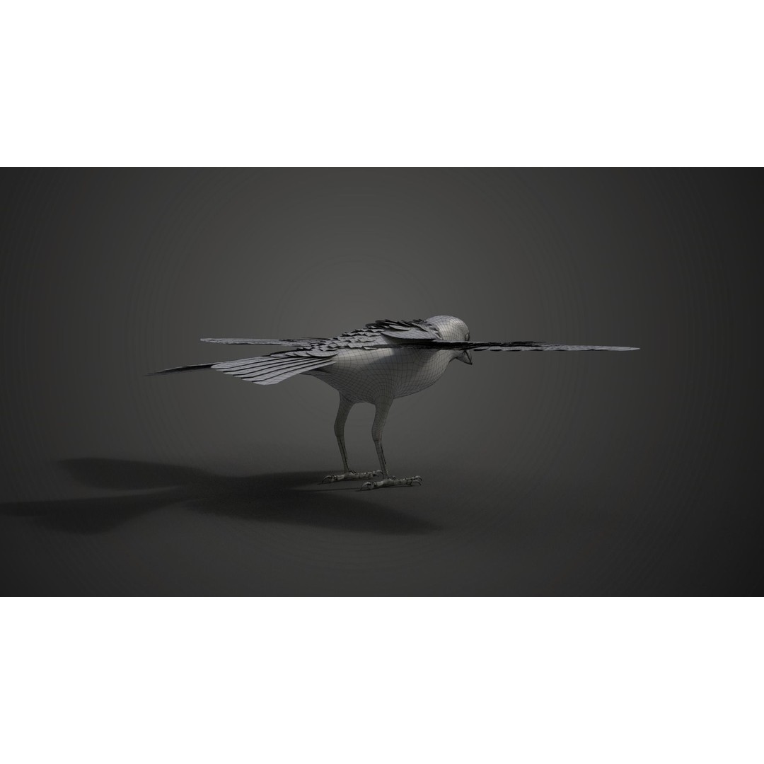 Sparrow 3D Model – Realistic Animated Bird with Rigging and PBR Textures - View 22