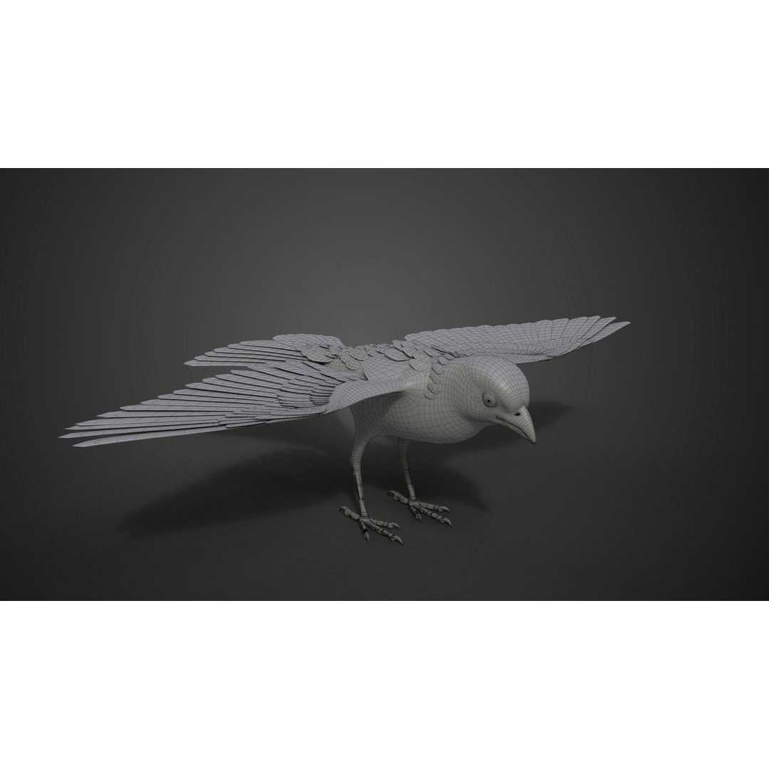 Sparrow 3D Model – Realistic Animated Bird with Rigging and PBR Textures - View 23