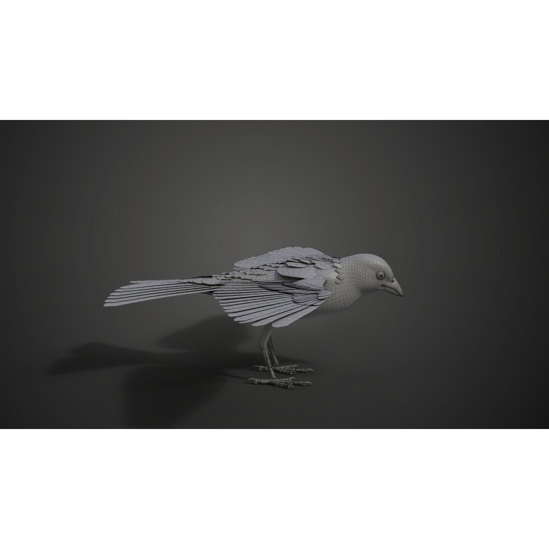 Sparrow 3D Model – Realistic Animated Bird with Rigging and PBR Textures - View 24