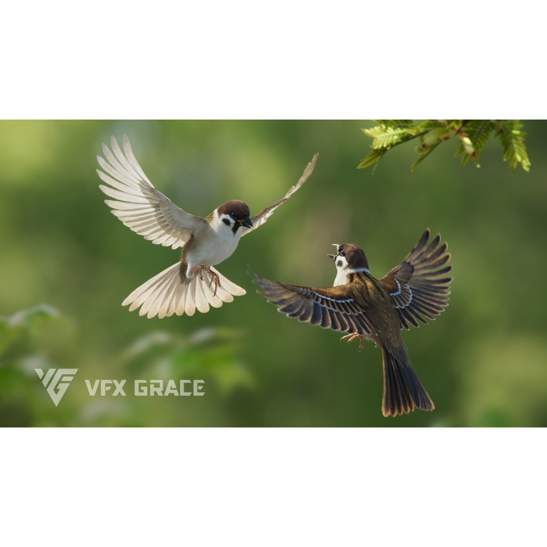 Sparrow 3D Model – Realistic Animated Bird with Rigging and PBR Textures - View 4