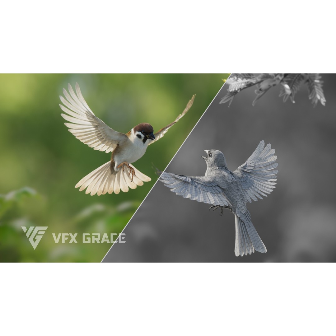 Sparrow 3D Model – Realistic Animated Bird with Rigging and PBR Textures - View 5
