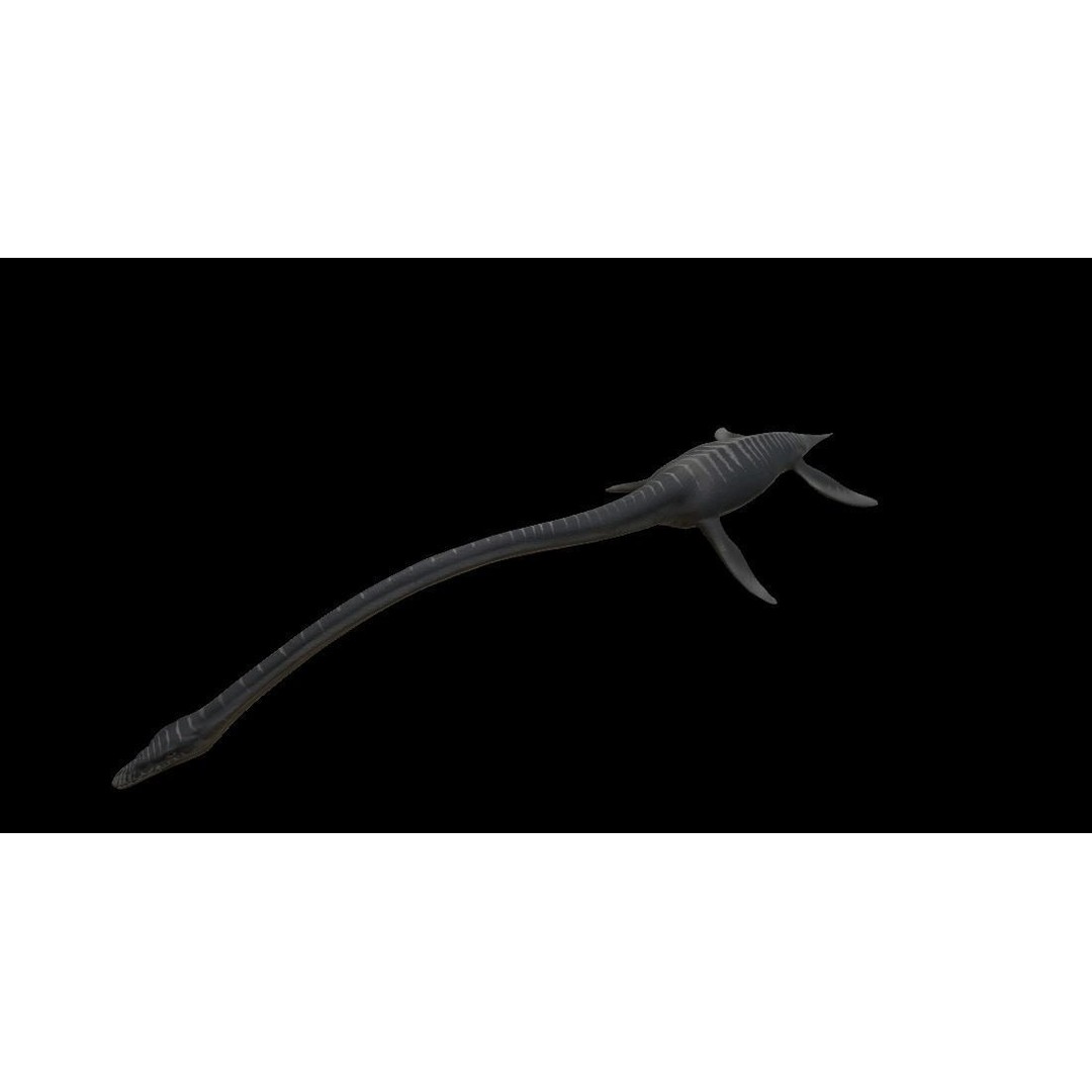 Elasmosaurus 3D Model – Low Poly Game-Ready Dinosaur with Animations