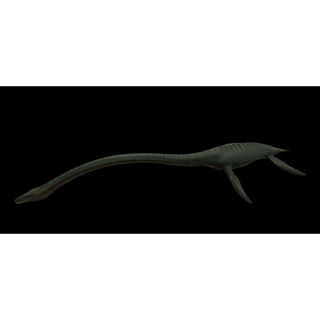 Elasmosaurus 3D Model – Low Poly Game-Ready Dinosaur with Animations - View 10