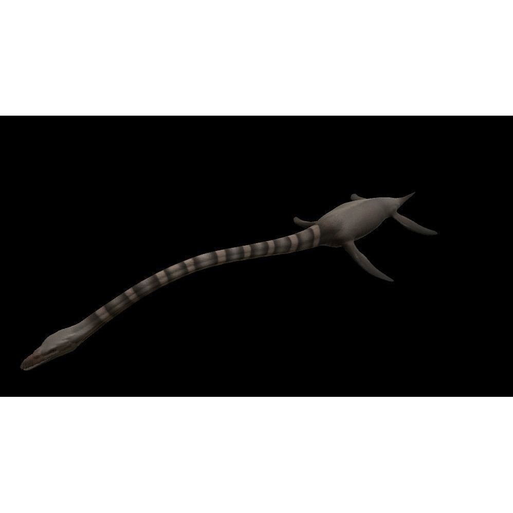 Elasmosaurus 3D Model – Low Poly Game-Ready Dinosaur with Animations - View 11