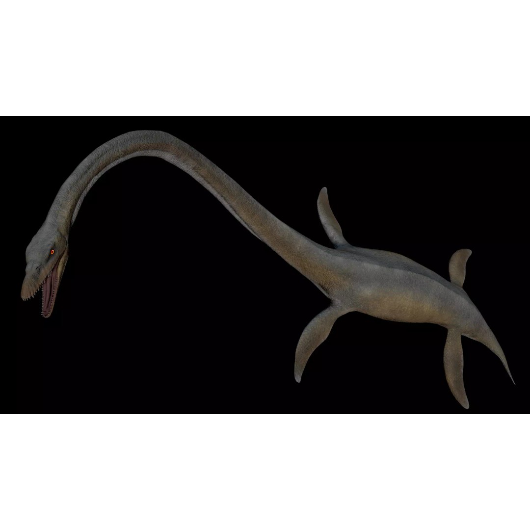 Elasmosaurus 3D Model – Low Poly Game-Ready Dinosaur with Animations - View 2