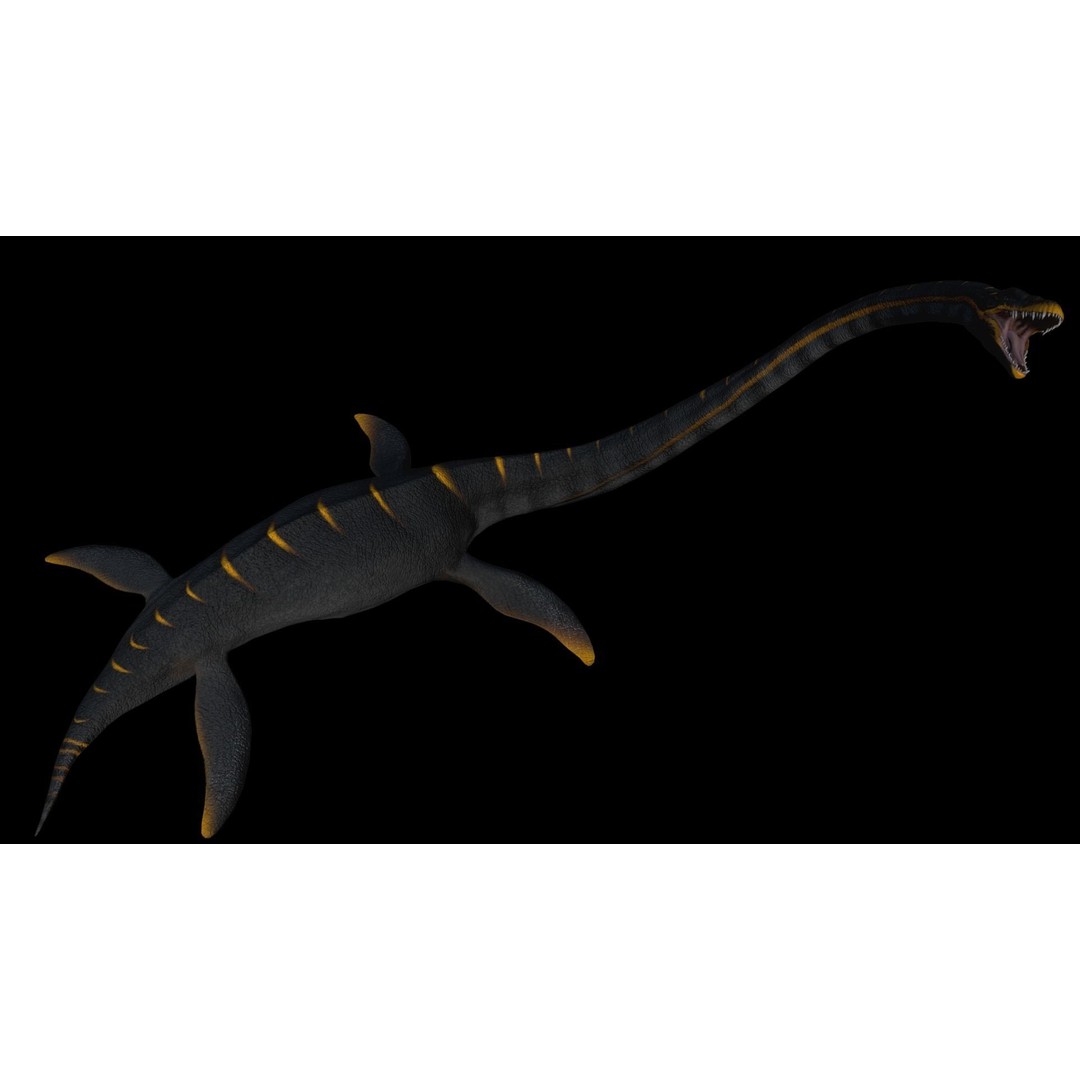 Elasmosaurus 3D Model – Low Poly Game-Ready Dinosaur with Animations - View 3
