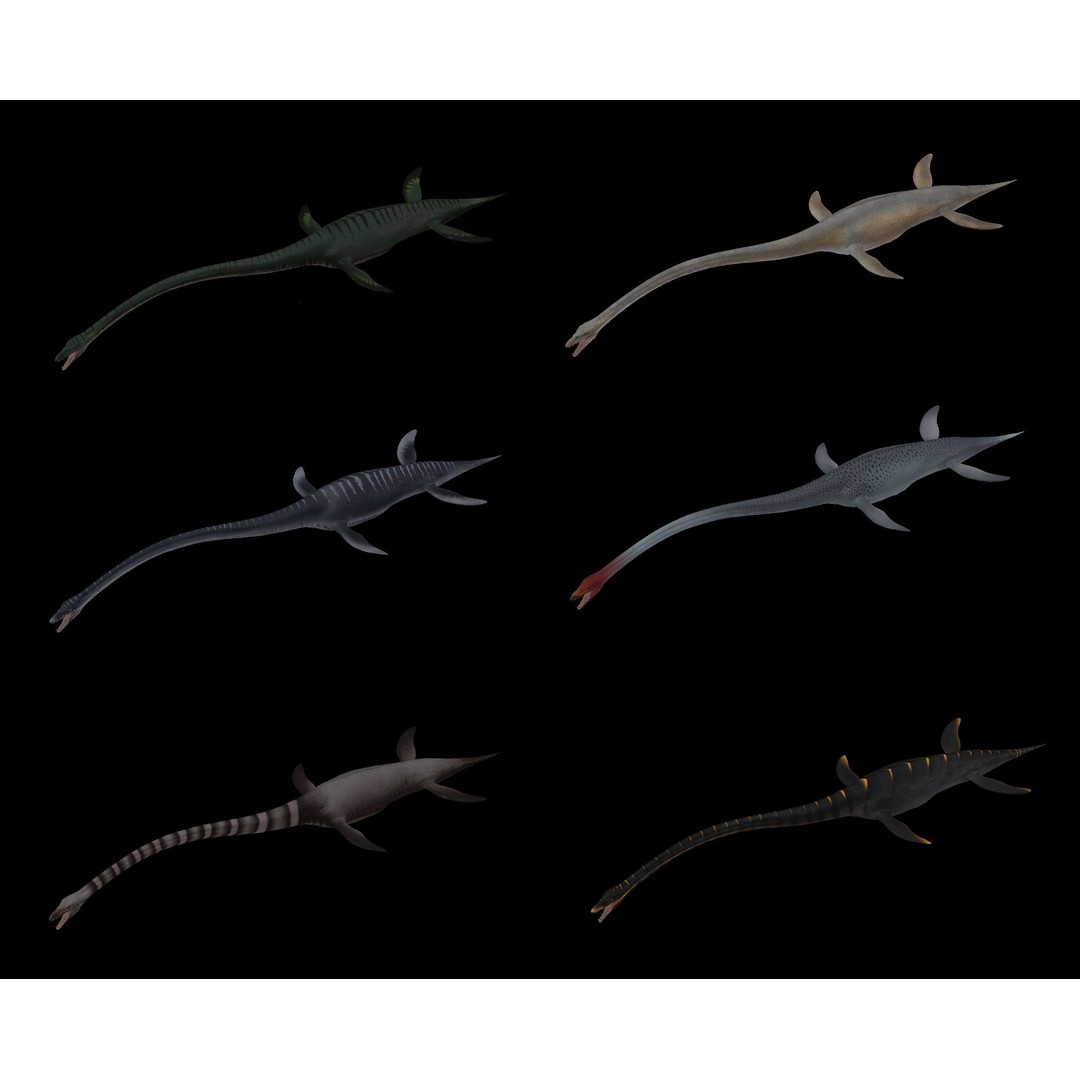 Elasmosaurus 3D Model – Low Poly Game-Ready Dinosaur with Animations - View 4
