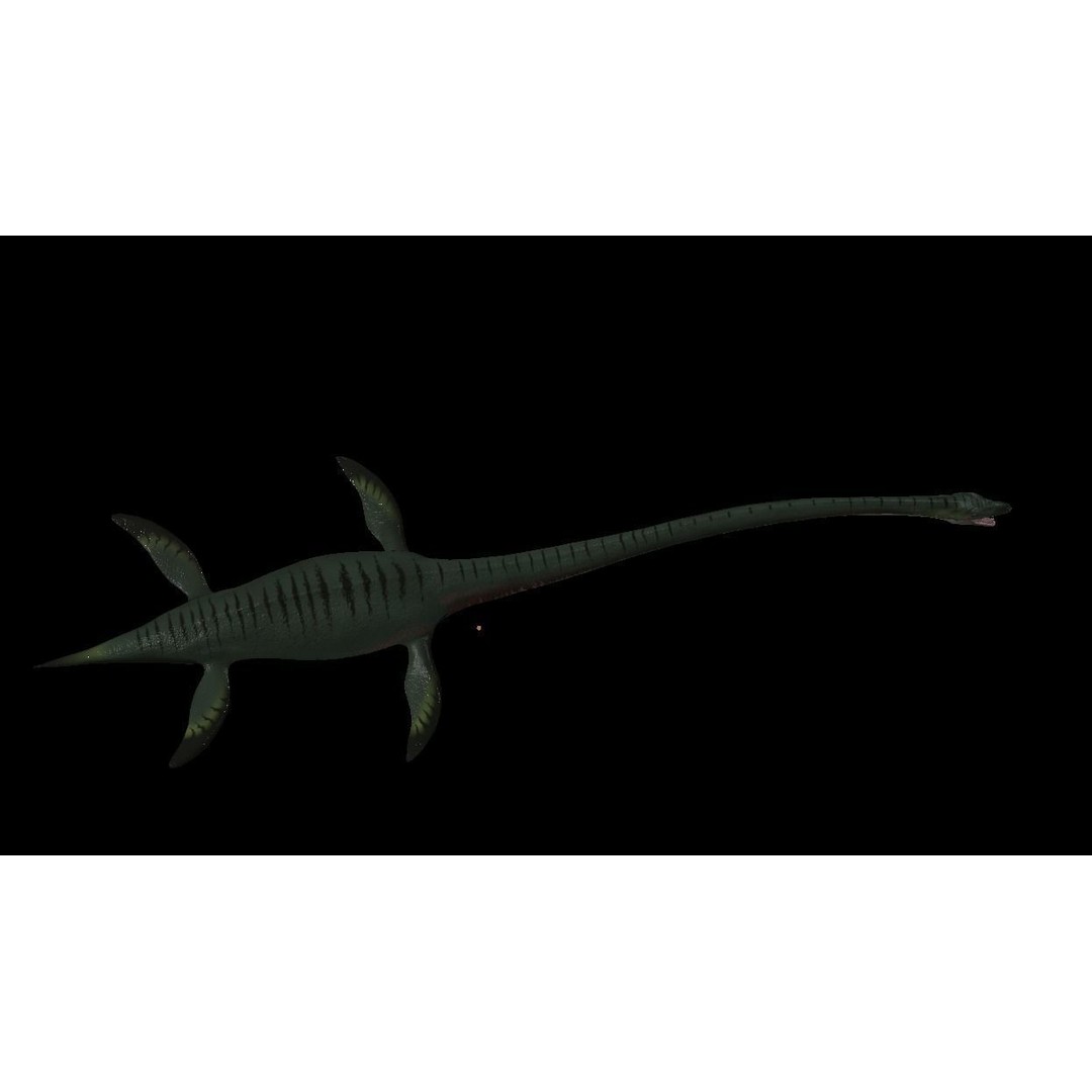 Elasmosaurus 3D Model – Low Poly Game-Ready Dinosaur with Animations - View 5