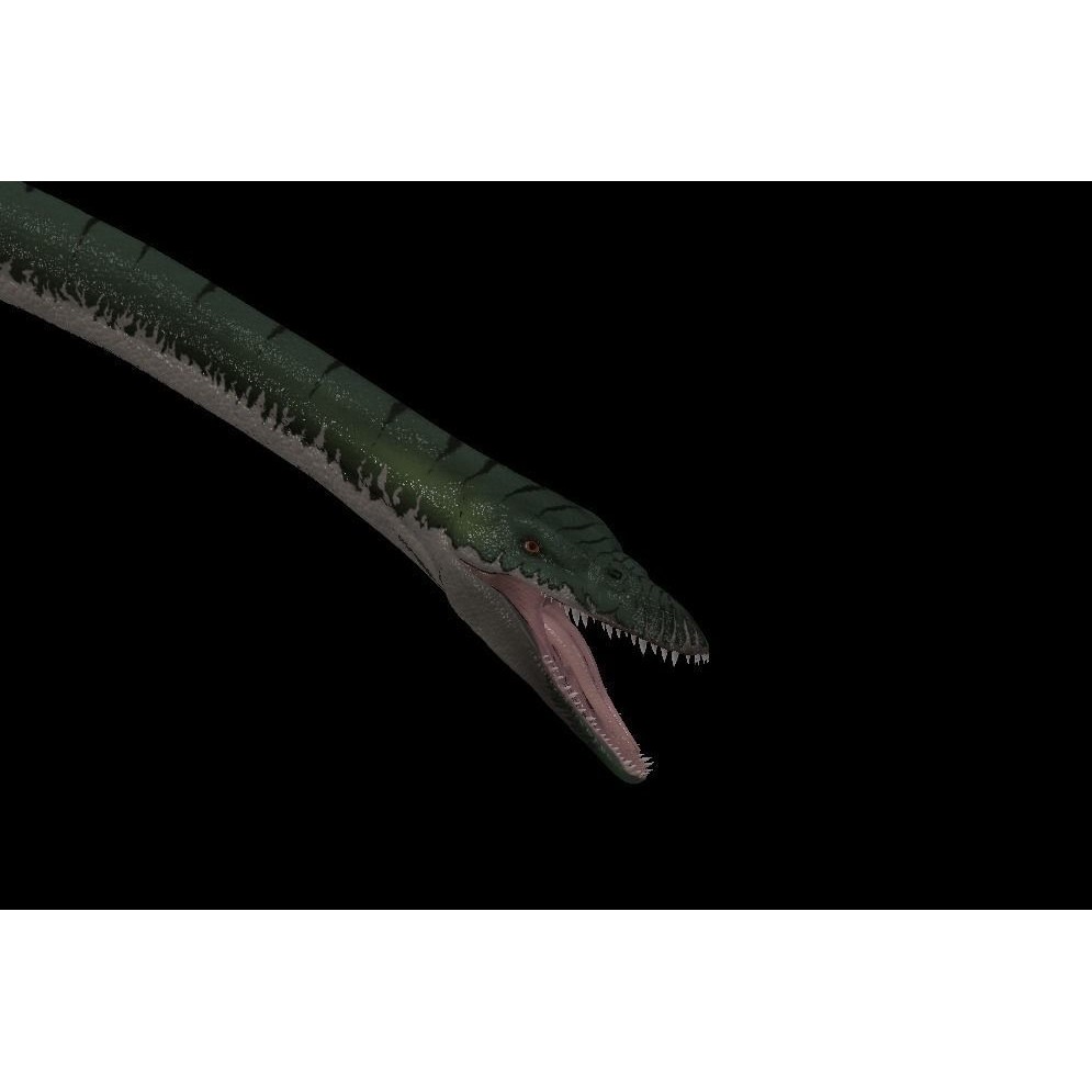 Elasmosaurus 3D Model – Low Poly Game-Ready Dinosaur with Animations - View 6