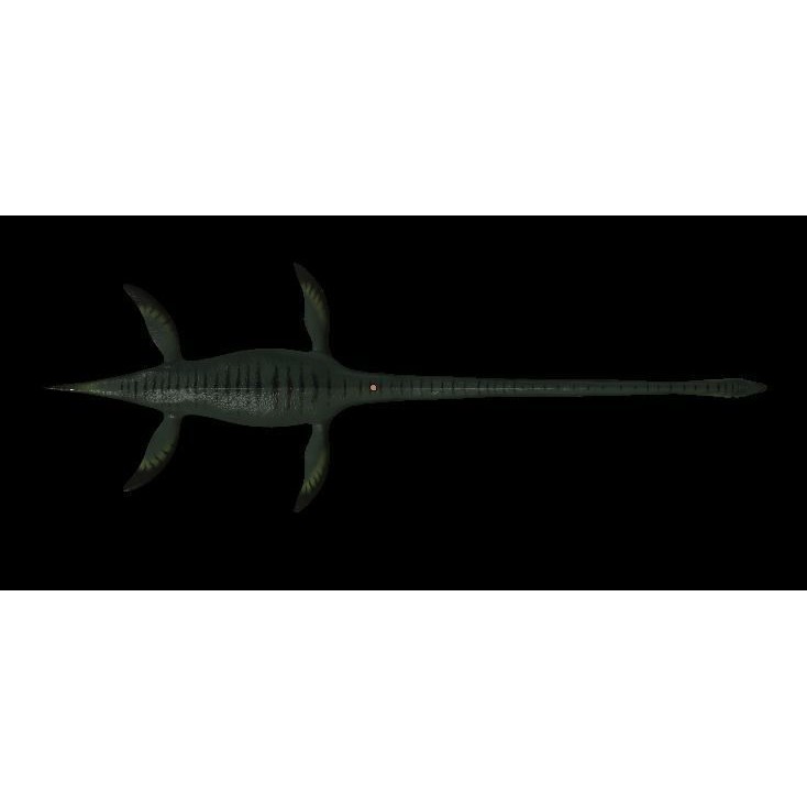 Elasmosaurus 3D Model – Low Poly Game-Ready Dinosaur with Animations - View 7