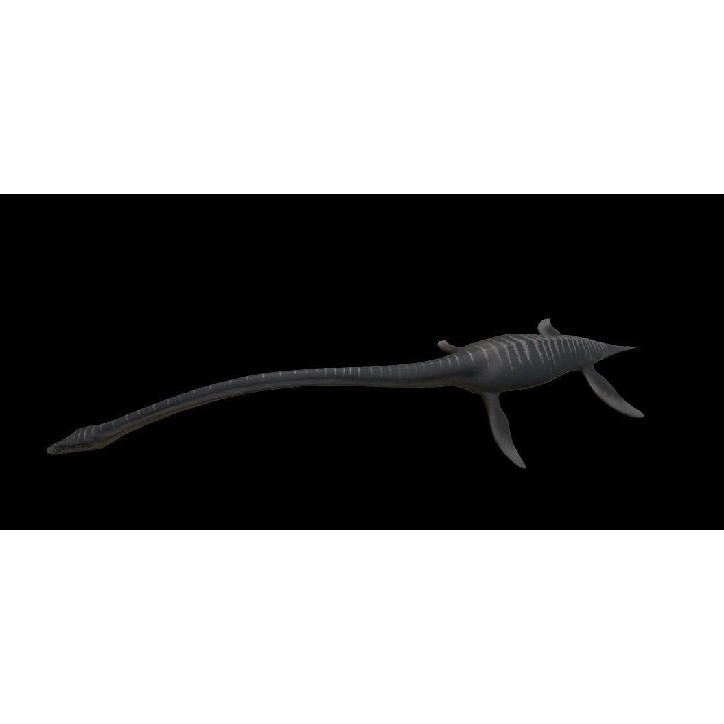 Elasmosaurus 3D Model – Low Poly Game-Ready Dinosaur with Animations - View 8