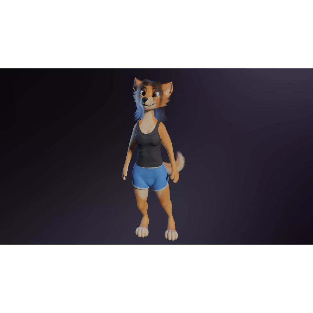 Maggie Anthro Dingo 3D Model – Low Poly Rigged Character, Blender - View 18