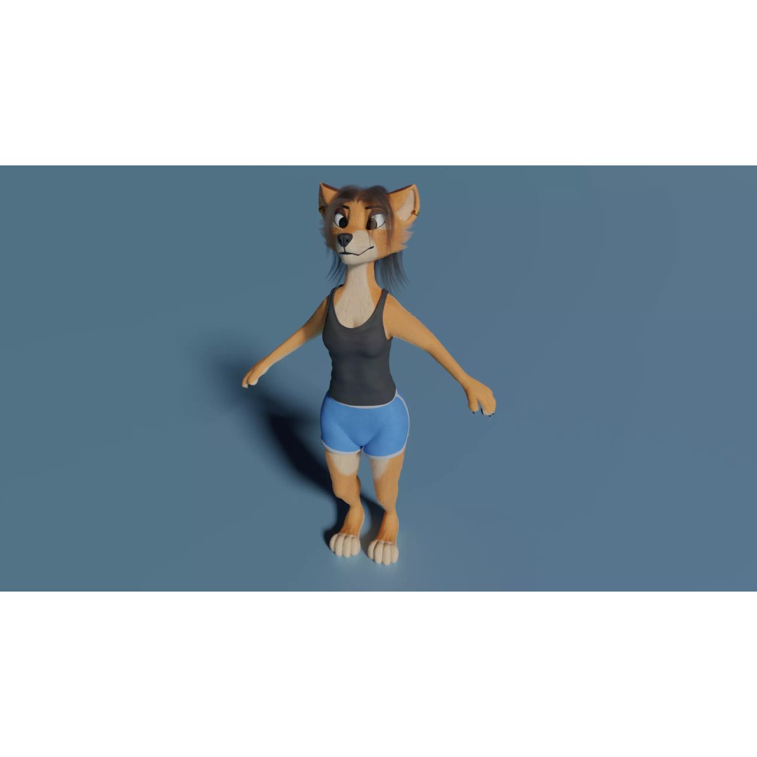 Maggie Anthro Dingo 3D Model – Low Poly Rigged Character, Blender - View 19