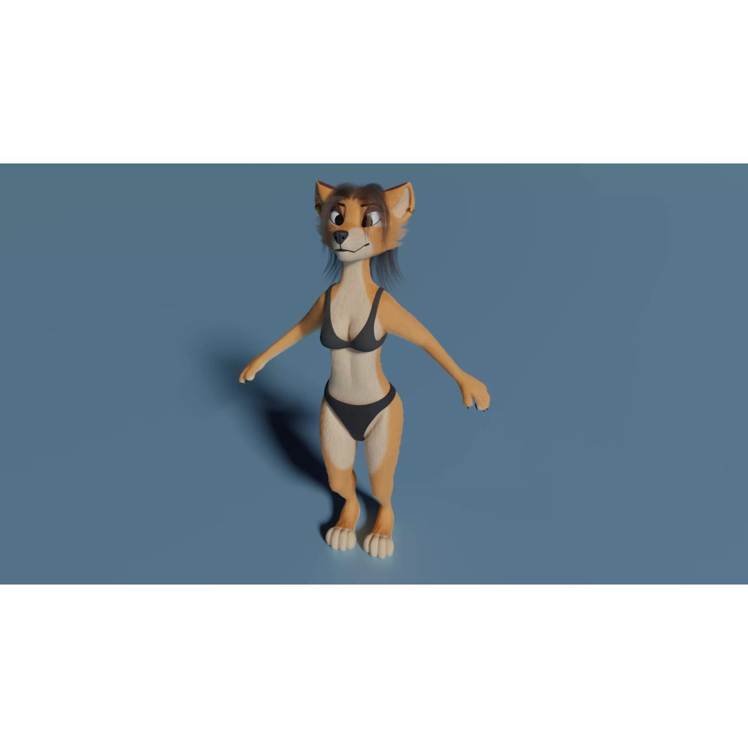 Maggie Anthro Dingo 3D Model – Low Poly Rigged Character, Blender - View 20