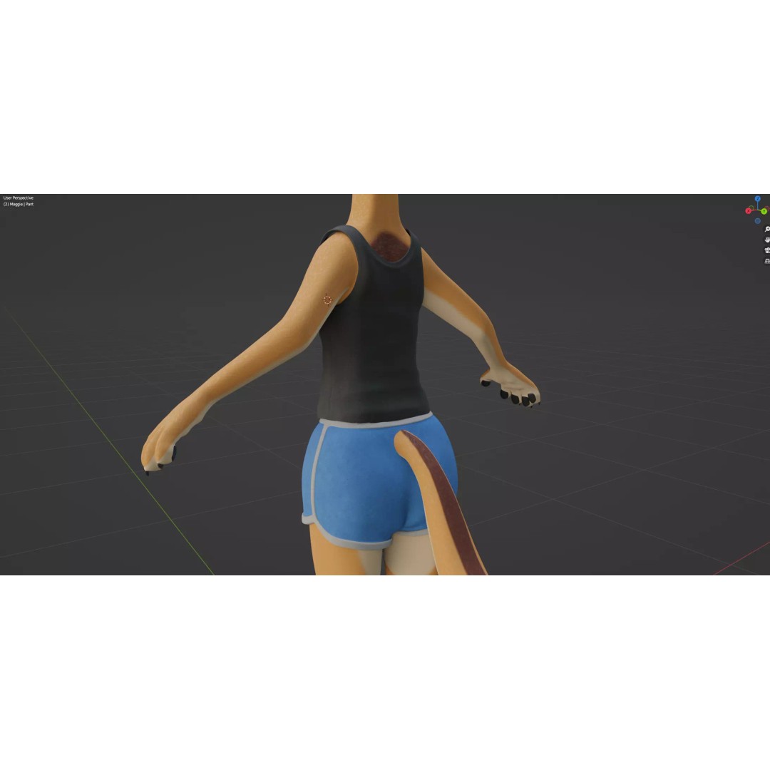 Maggie Anthro Dingo 3D Model – Low Poly Rigged Character, Blender - View 33