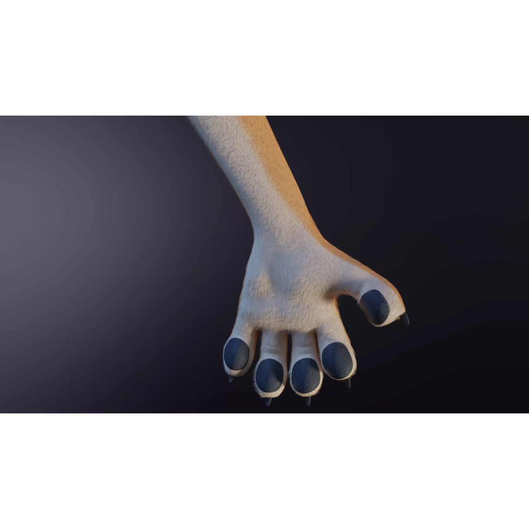 Maggie Anthro Dingo 3D Model – Low Poly Rigged Character, Blender - View 6