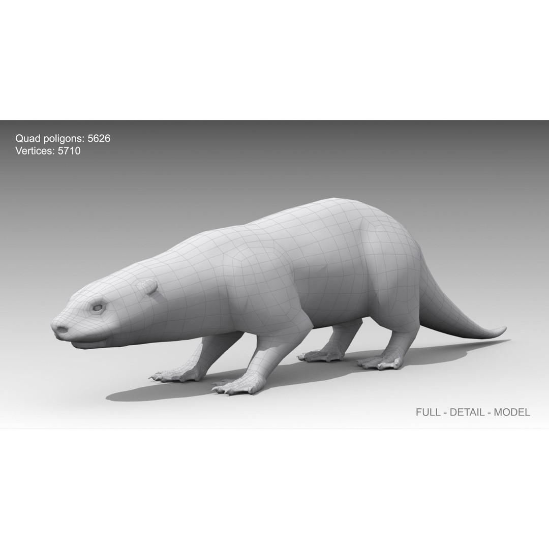Otter 3D Model – Low Poly Rigged Character with 19 Animations