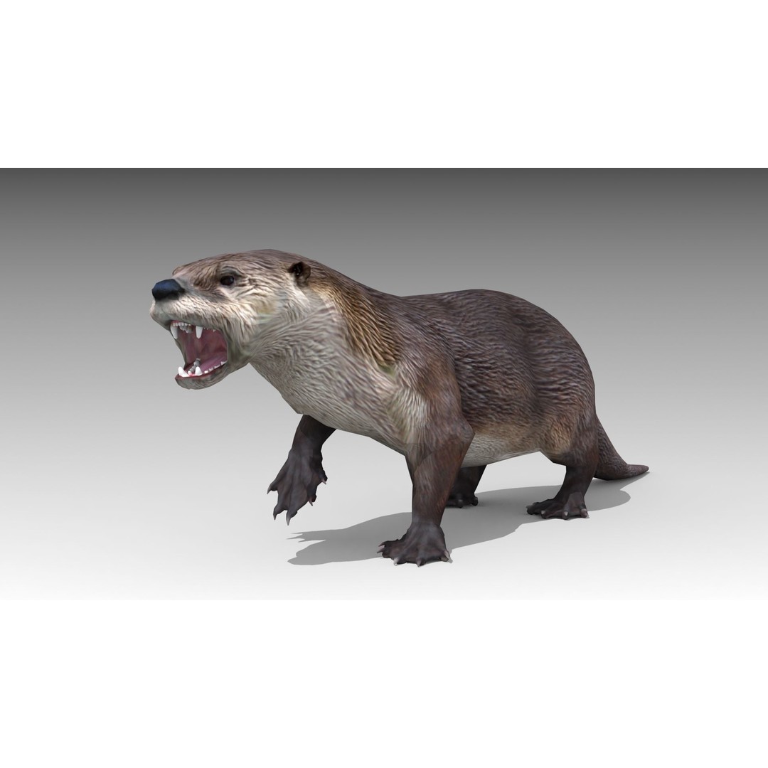 Otter 3D Model – Low Poly Rigged Character with 19 Animations - View 9