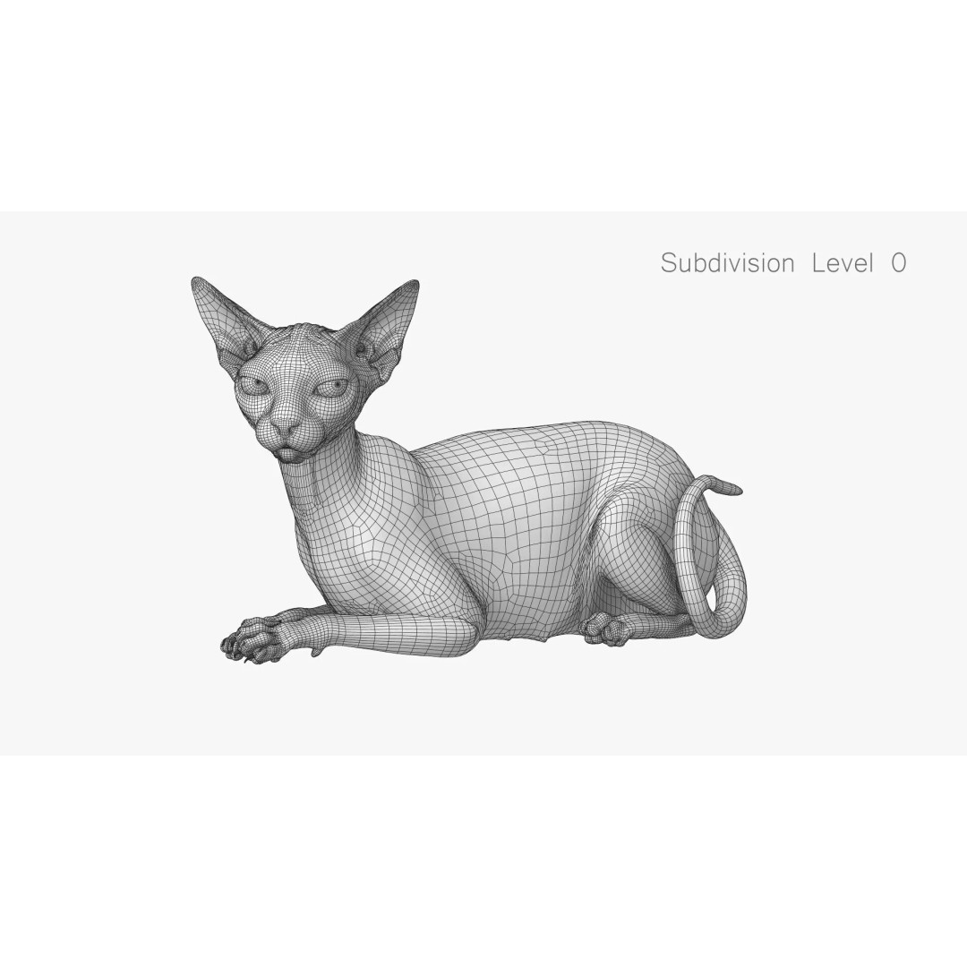 Sphynx Cat 3D Model – Realistic Lying Pose, PBR Textures, FBX - View 14