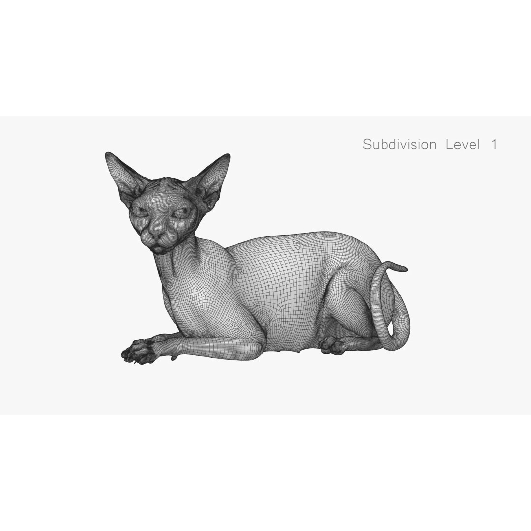 Sphynx Cat 3D Model – Realistic Lying Pose, PBR Textures, FBX - View 15